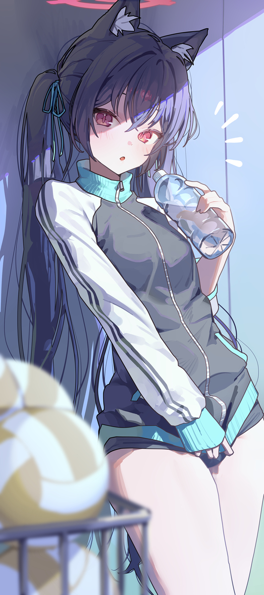 塞利卡