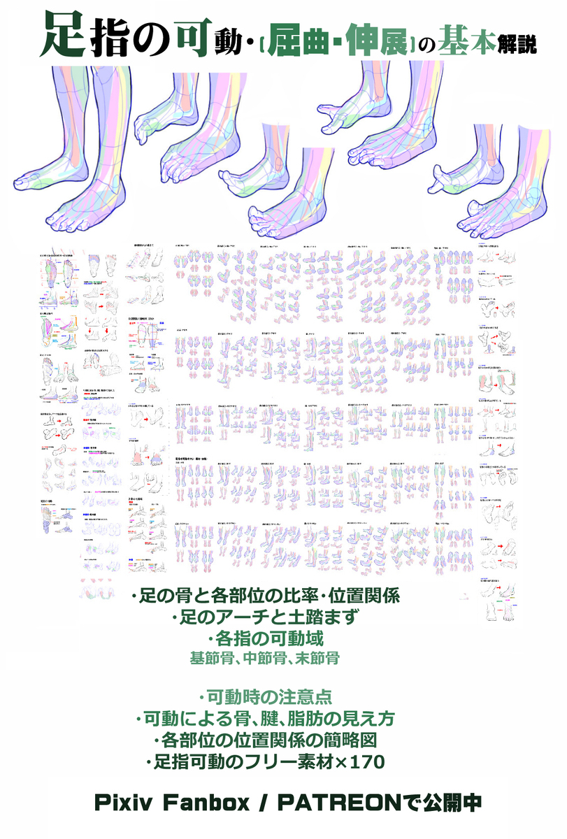 個人メモ：足の指