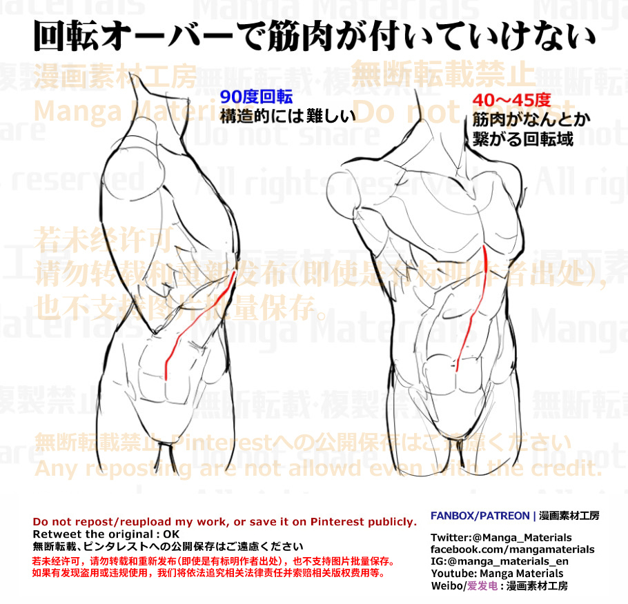 個人メモ：胴体の回旋可動域
