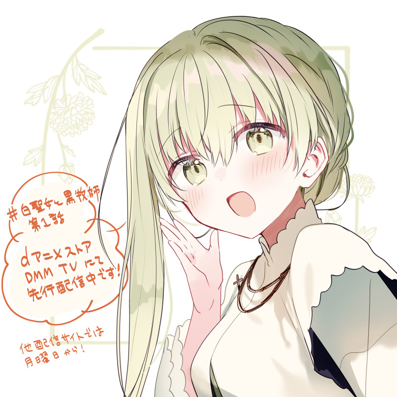白圣女与黑牧师插画总结