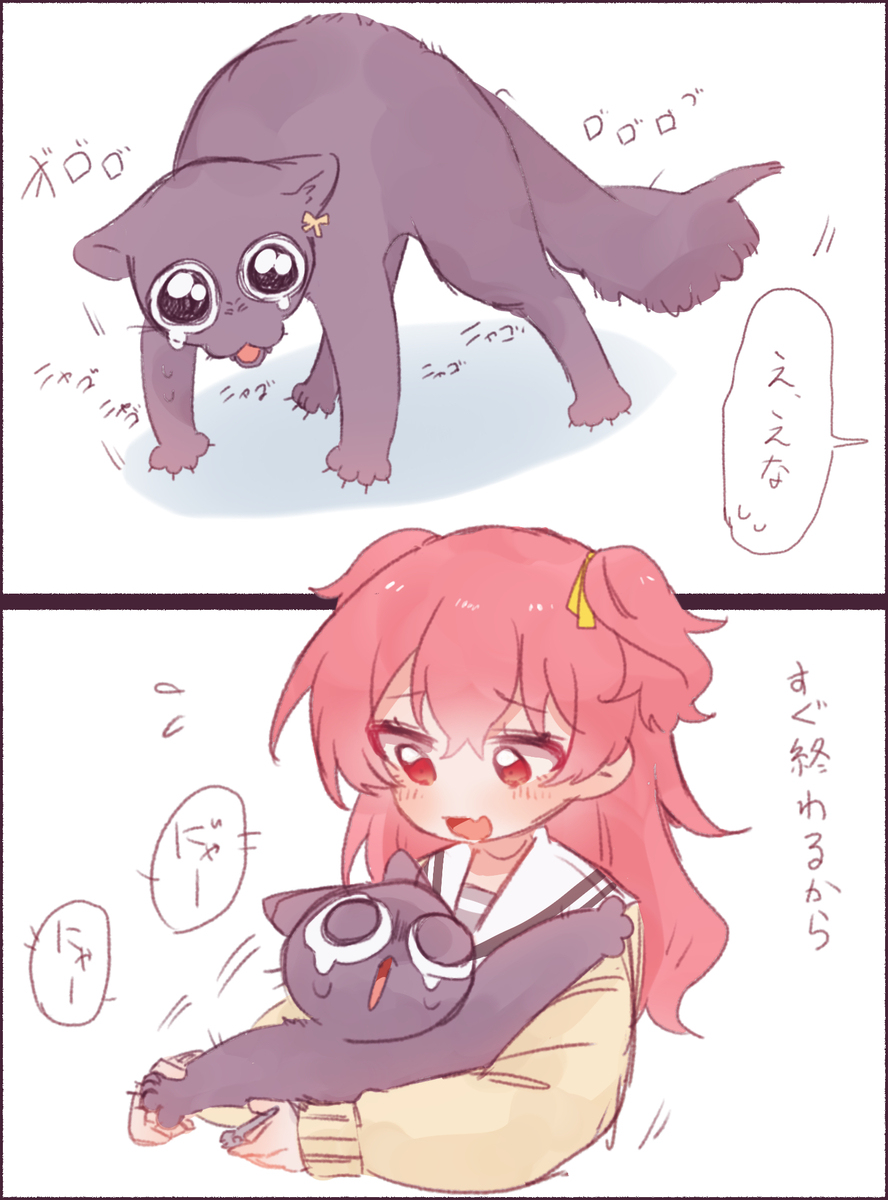 普罗塞卡
