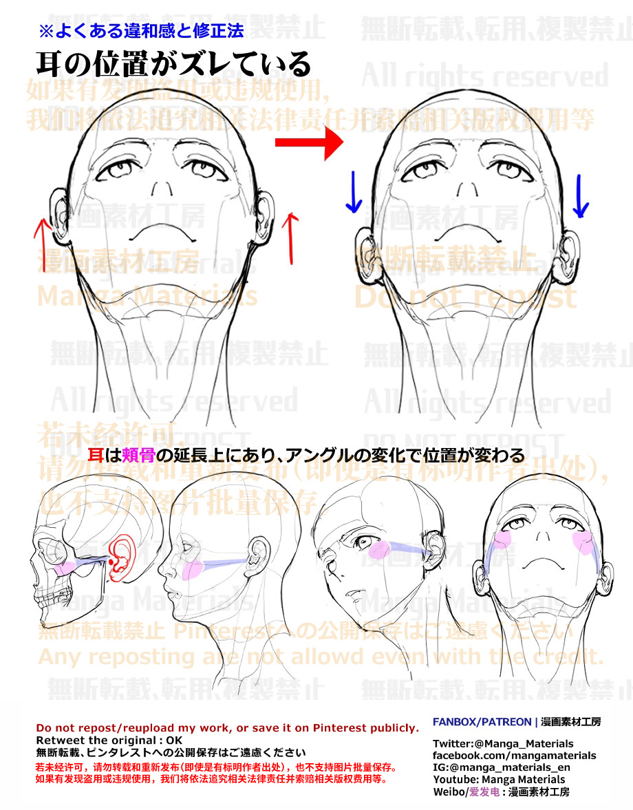 個人メモ：アオリアングルの耳