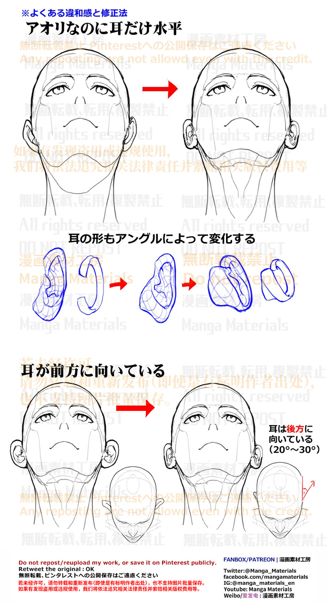 個人メモ：アオリアングルの耳
