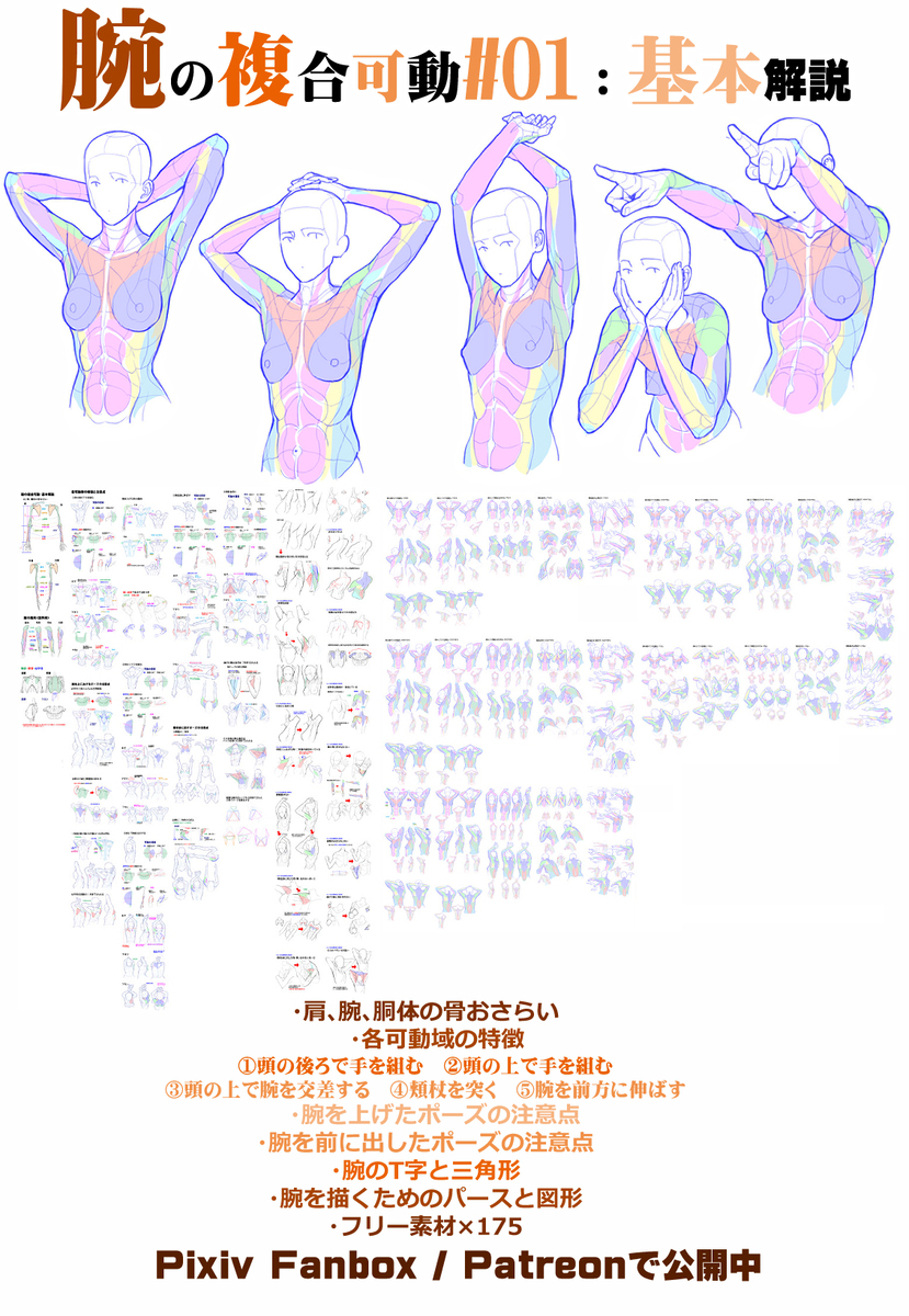 個人メモ：腕の奥行き表現