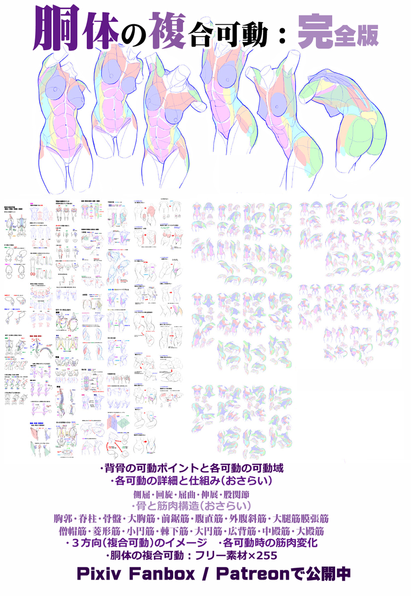 個人メモ：*部から腰への繋がり