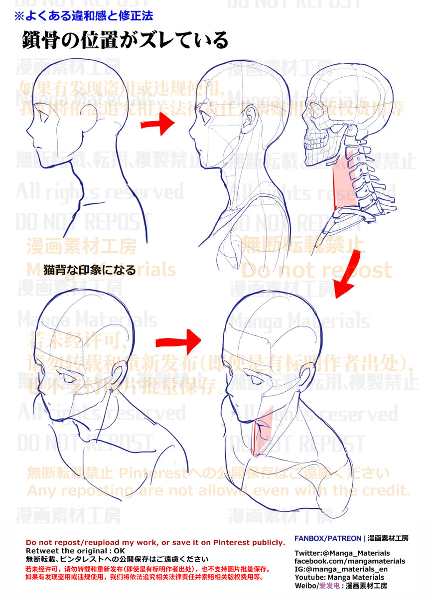 個人メモ：首の骨の位置