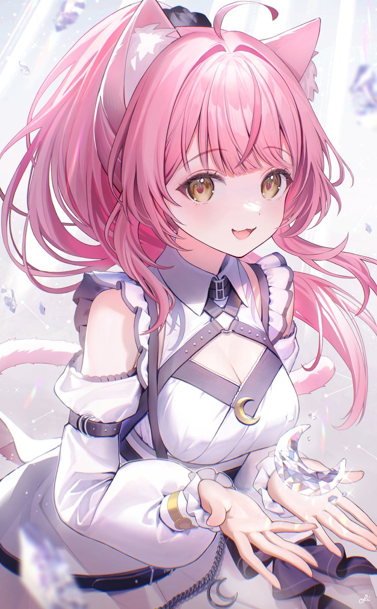 🐈🌙✨