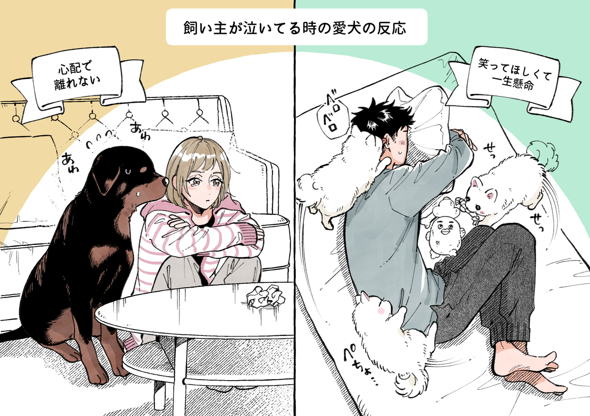 主人哭泣时爱犬的反应