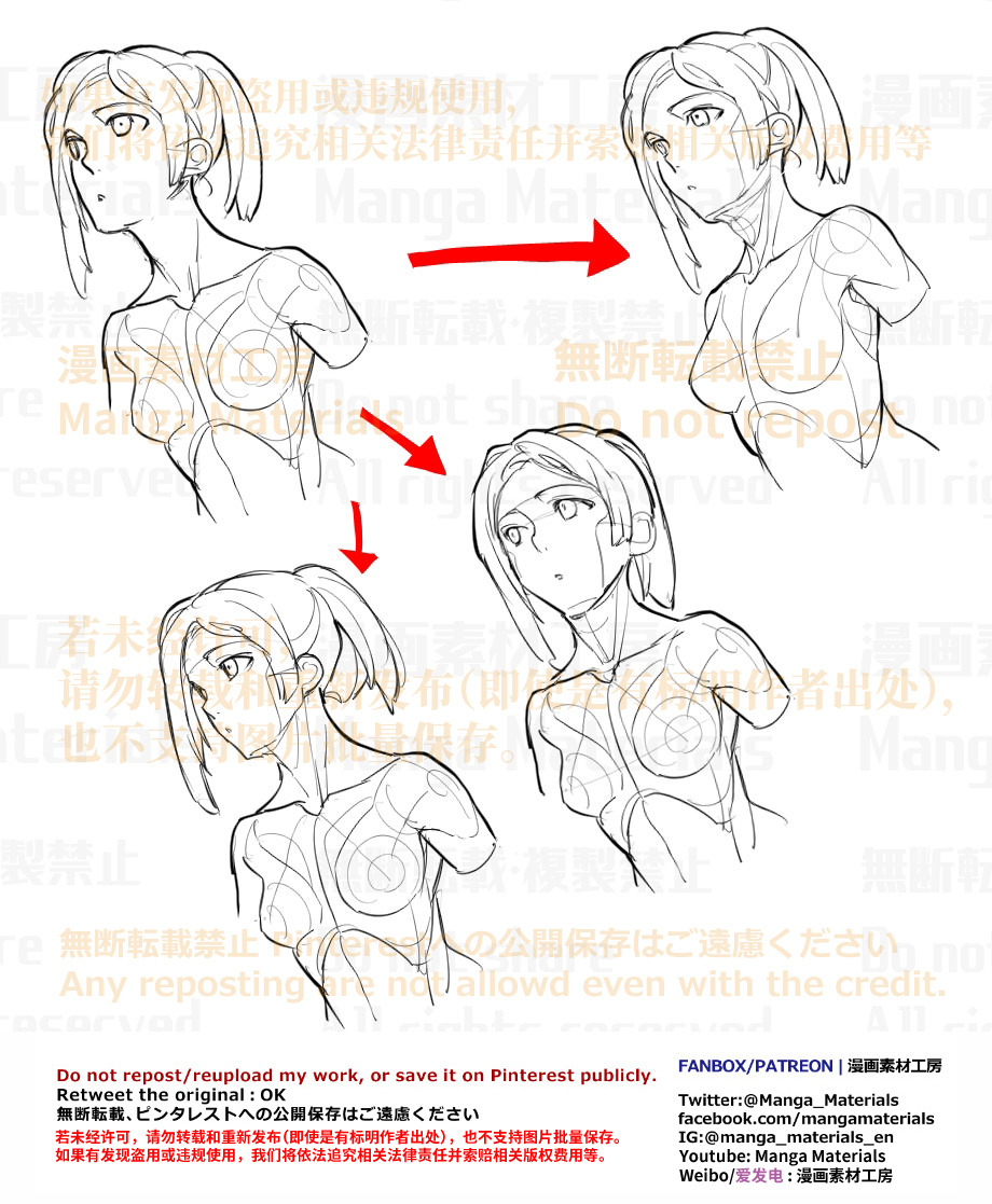 個人メモ：顔と胴体・コントラポスト