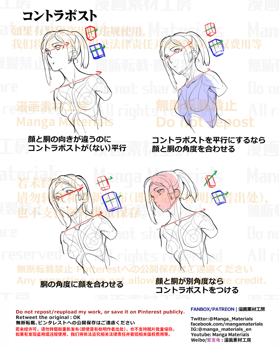 個人メモ：顔と胴体・コントラポスト