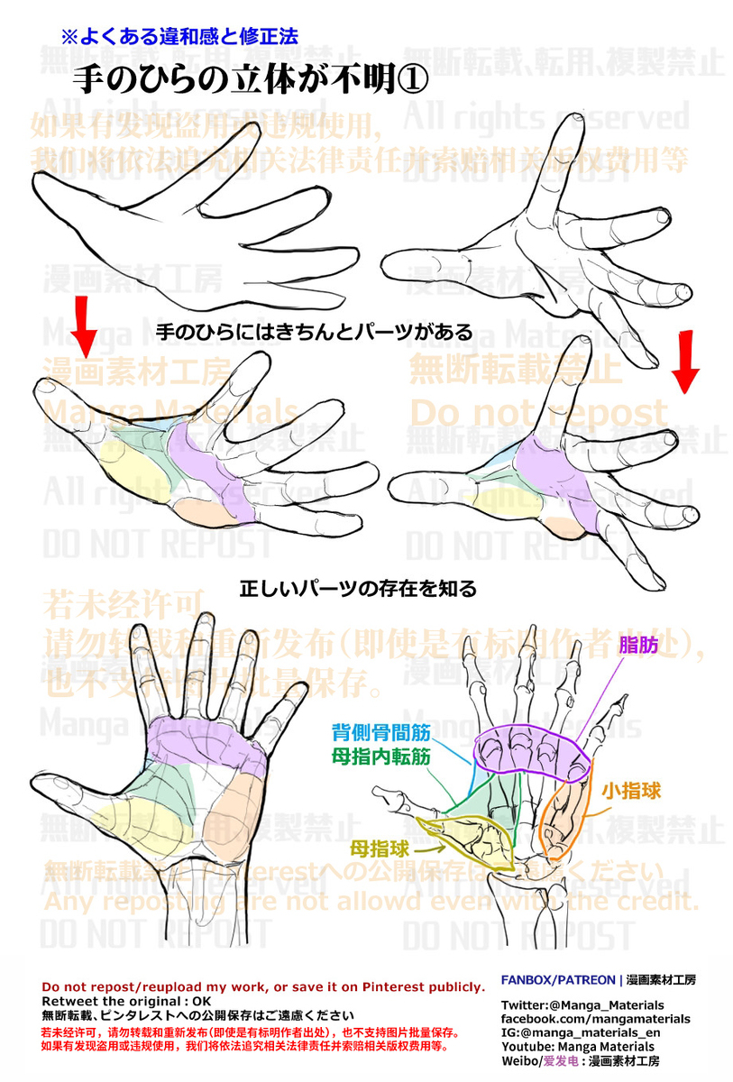個人メモ：手の平のパーツと立体