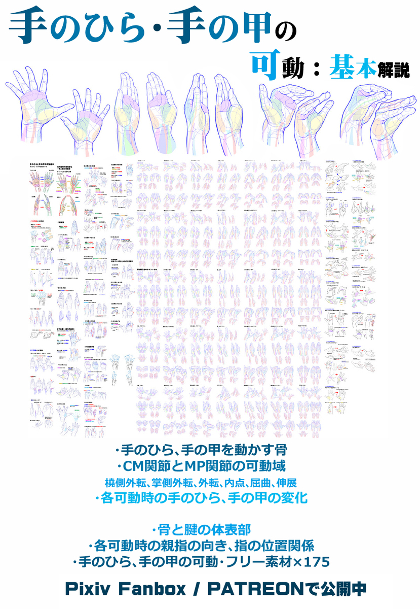 個人メモ：手の平のパーツと立体