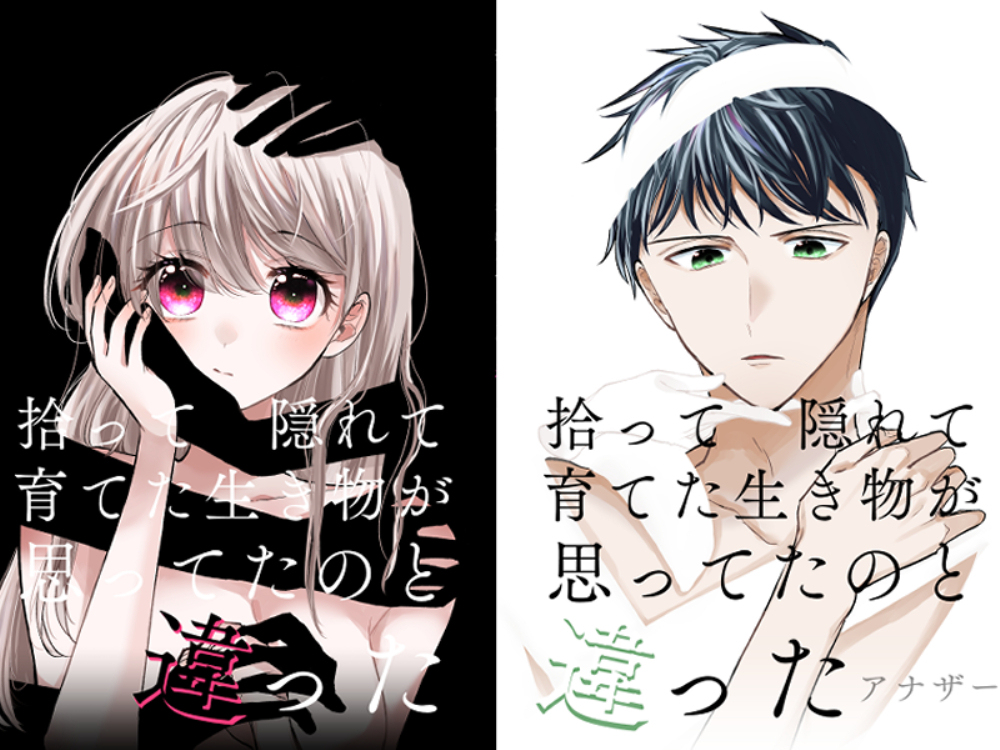 12/3COMITIA146新刊情报