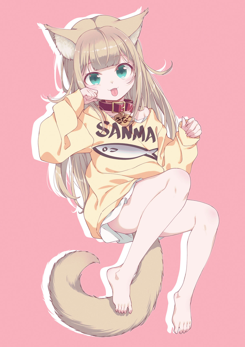 我家的猫是女孩，很可爱5