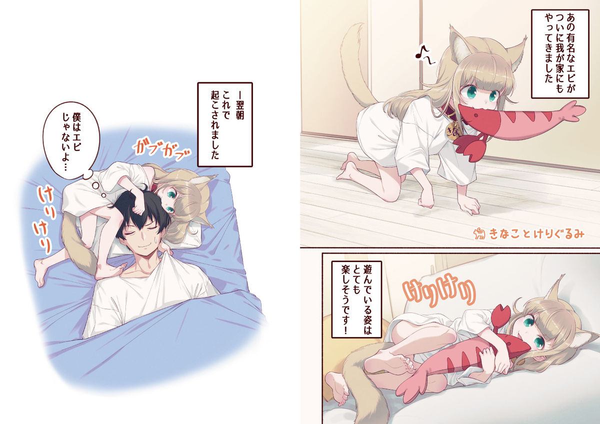 我家的猫是女孩，很可爱5