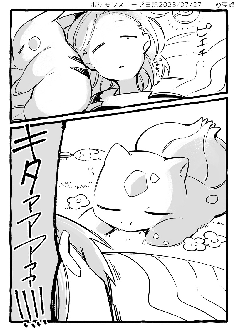 神奇宝贝总结2023冬季