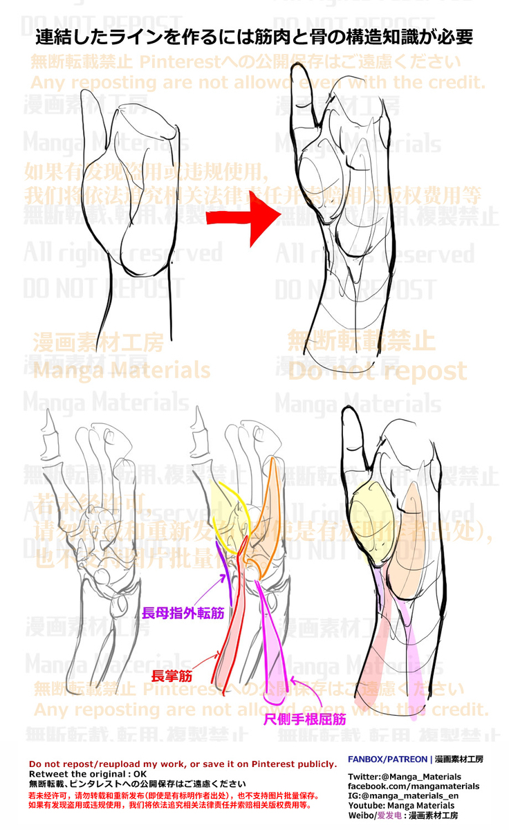 個人メモ：手と腕を繋ぐ手首のライン