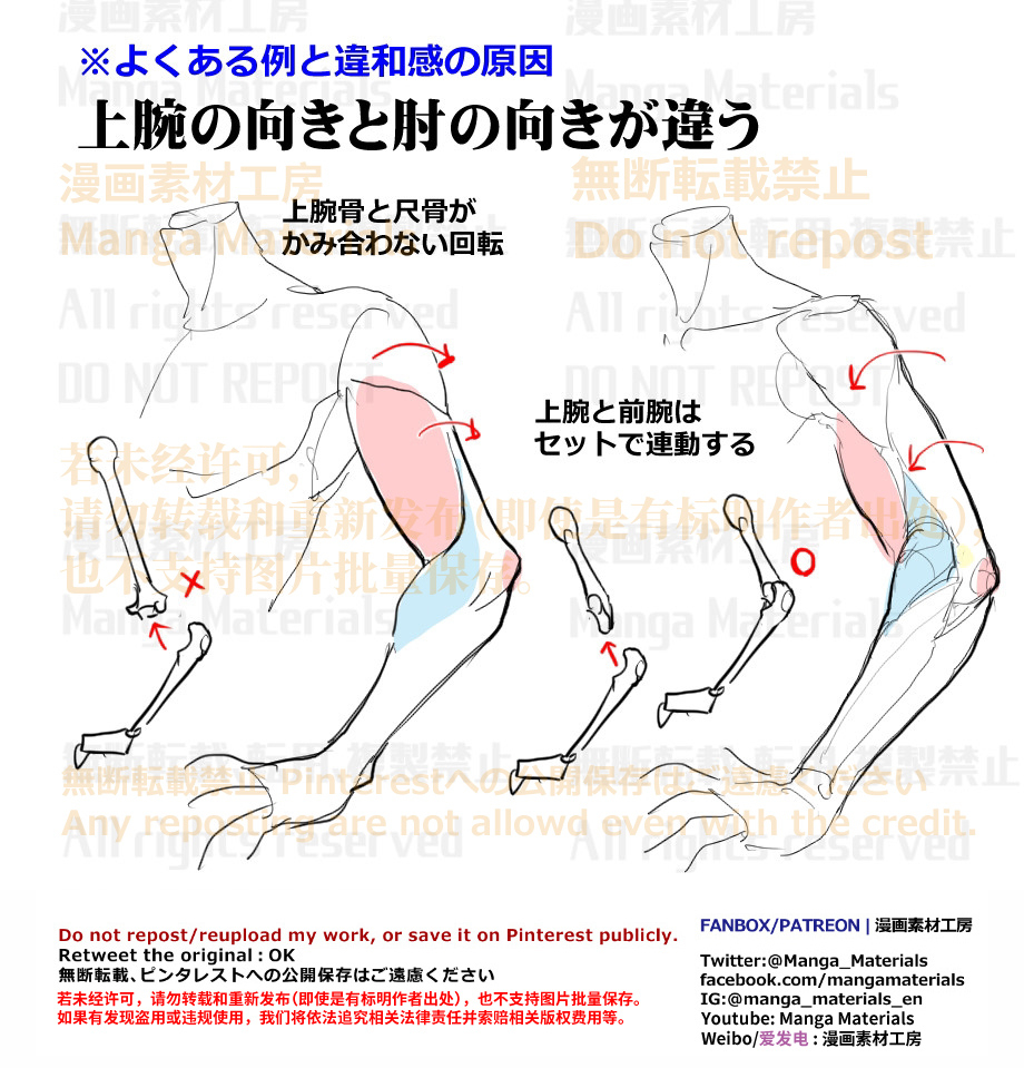 個人メモ：腕可動時の筋肉と骨の動き