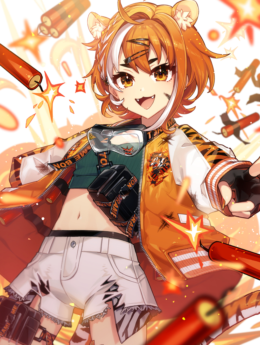 虎眼蜻蜓🐯