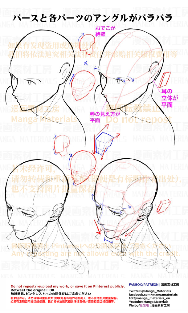 個人メモ：フカンとアオリの顔
