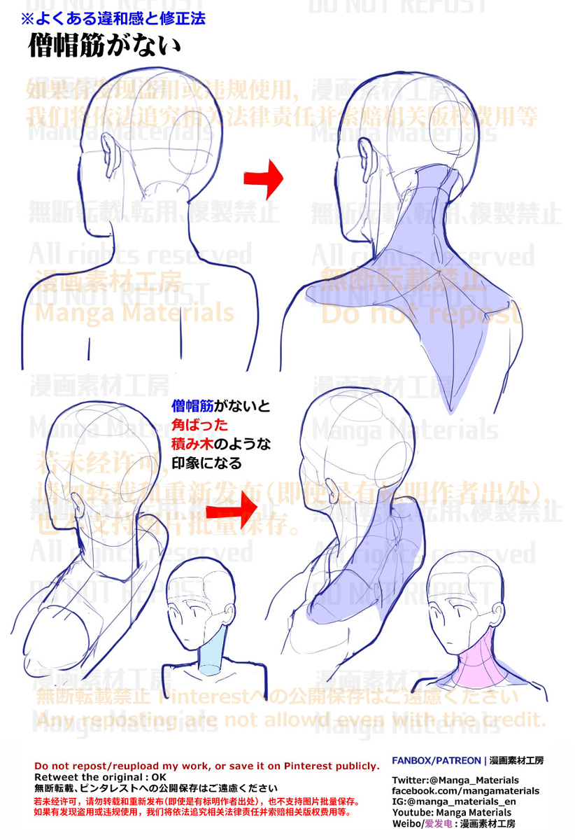 個人メモ：後頭部～首～背中への立体