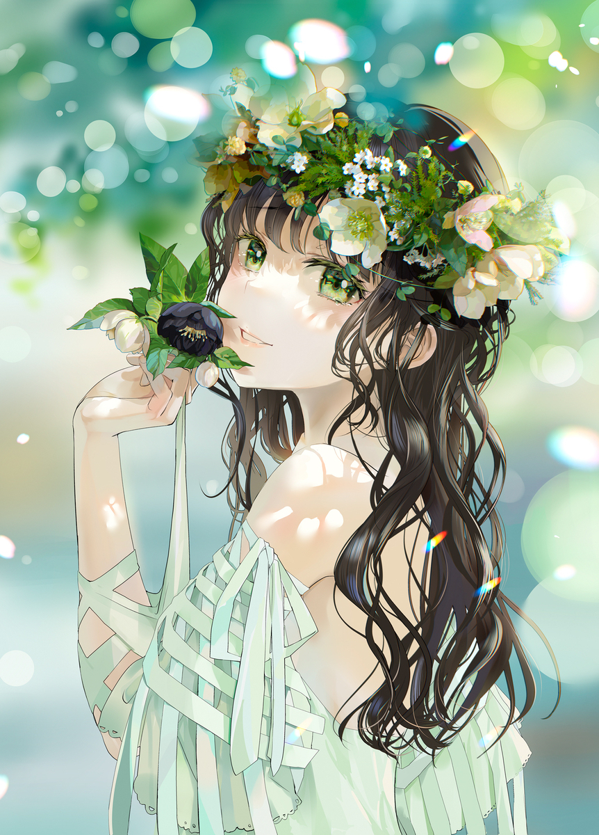 圣诞玫瑰花