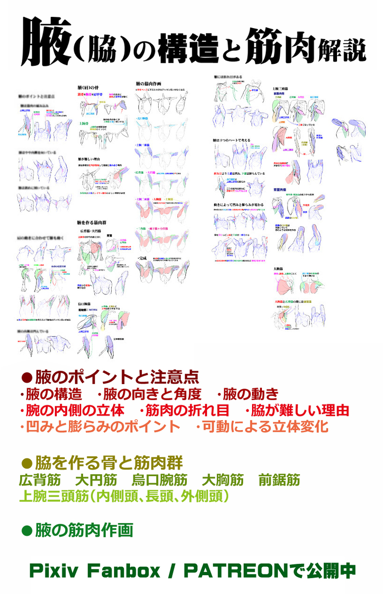 個人メモ：腋パーツ