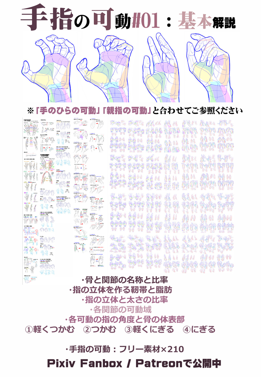 個人メモ：指の曲がり方