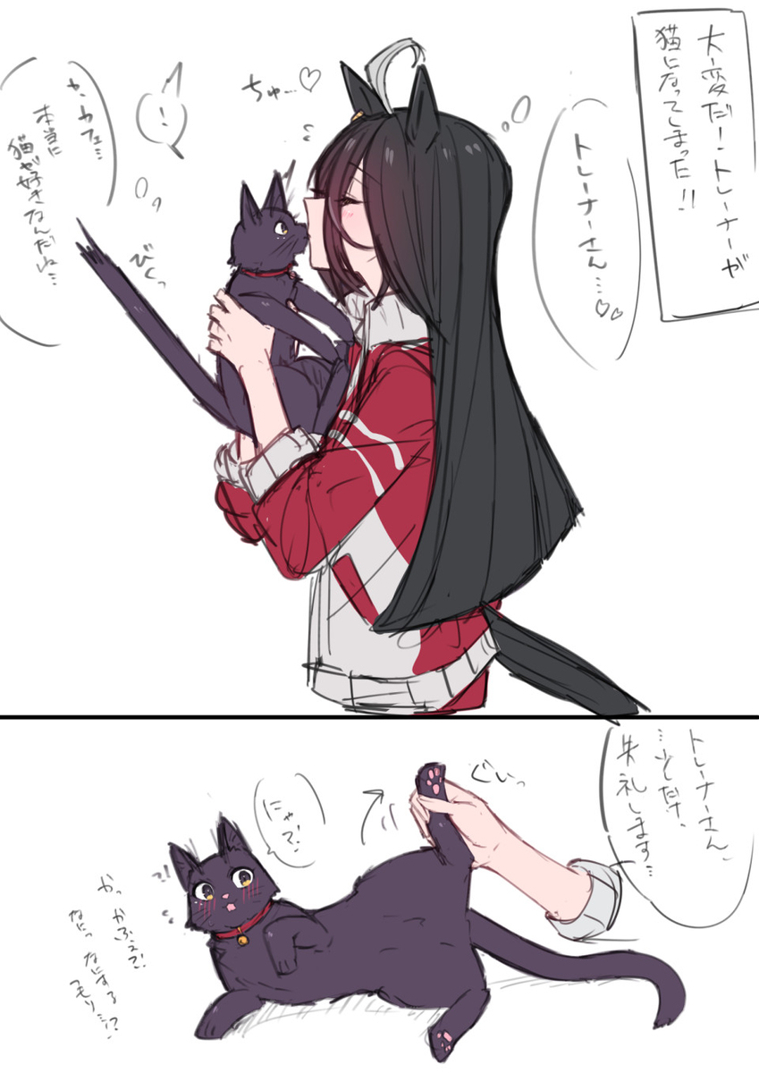 迟钝托盘♀单恋的咖啡店日志