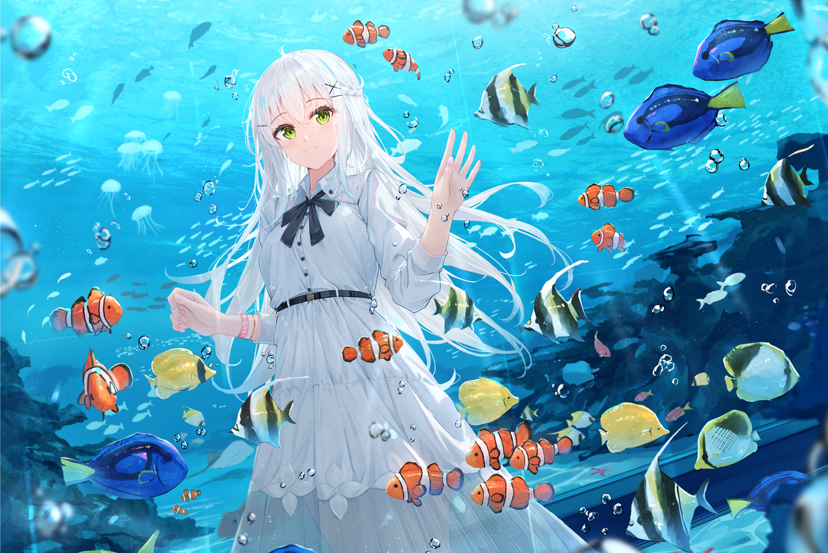 Aquarium