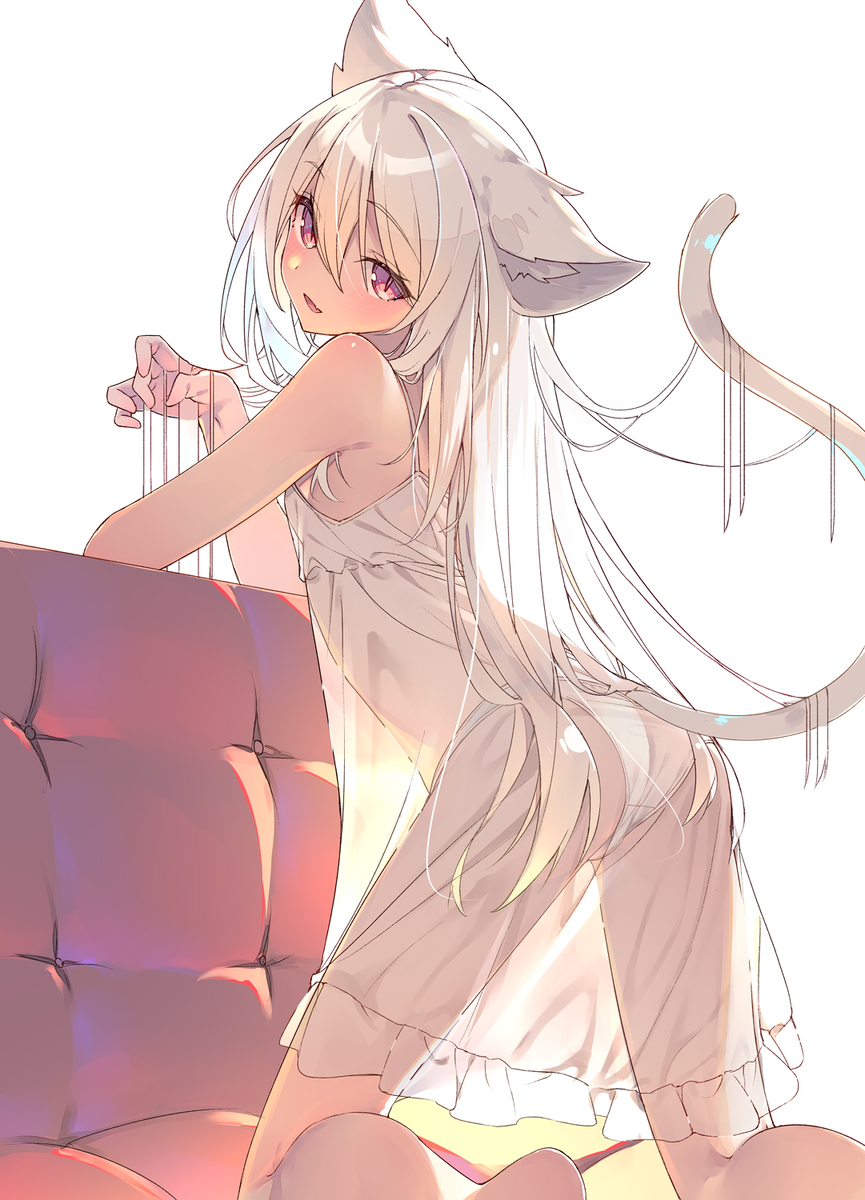 白猫