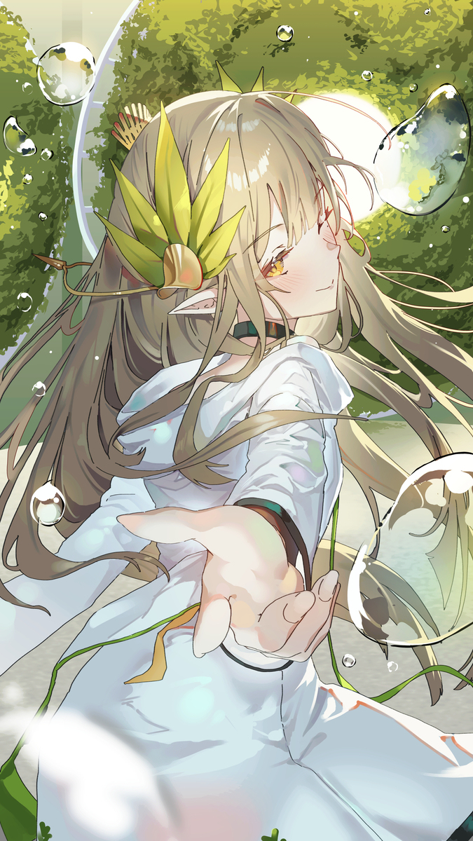 缪尔吉斯