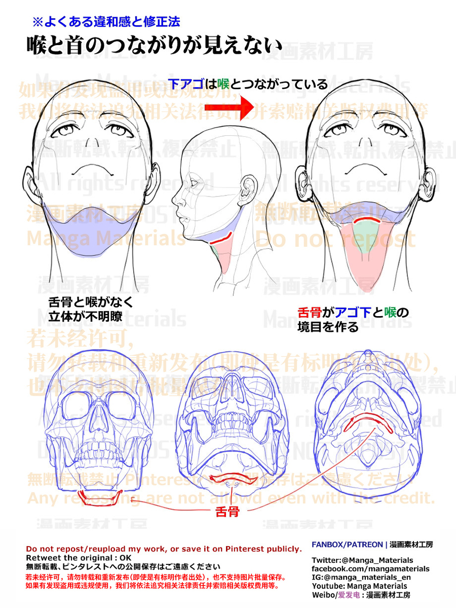 個人メモ：下顎は喉と繋がっている
