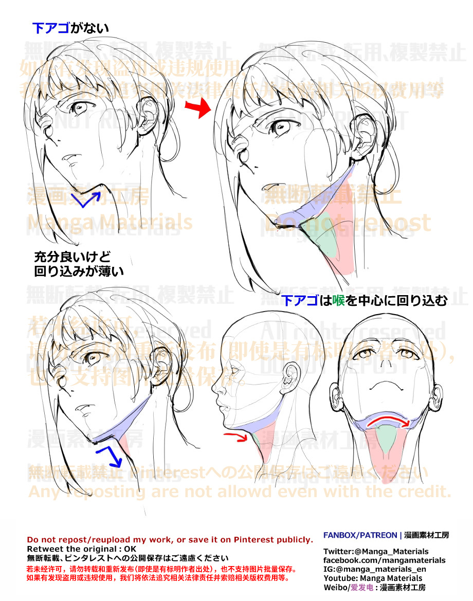 個人メモ：下顎は喉と繋がっている