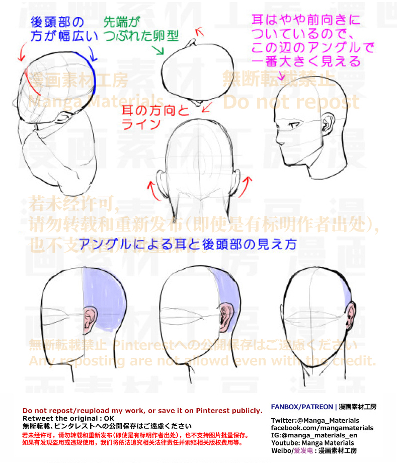 個人メモ：頭部の構造分析