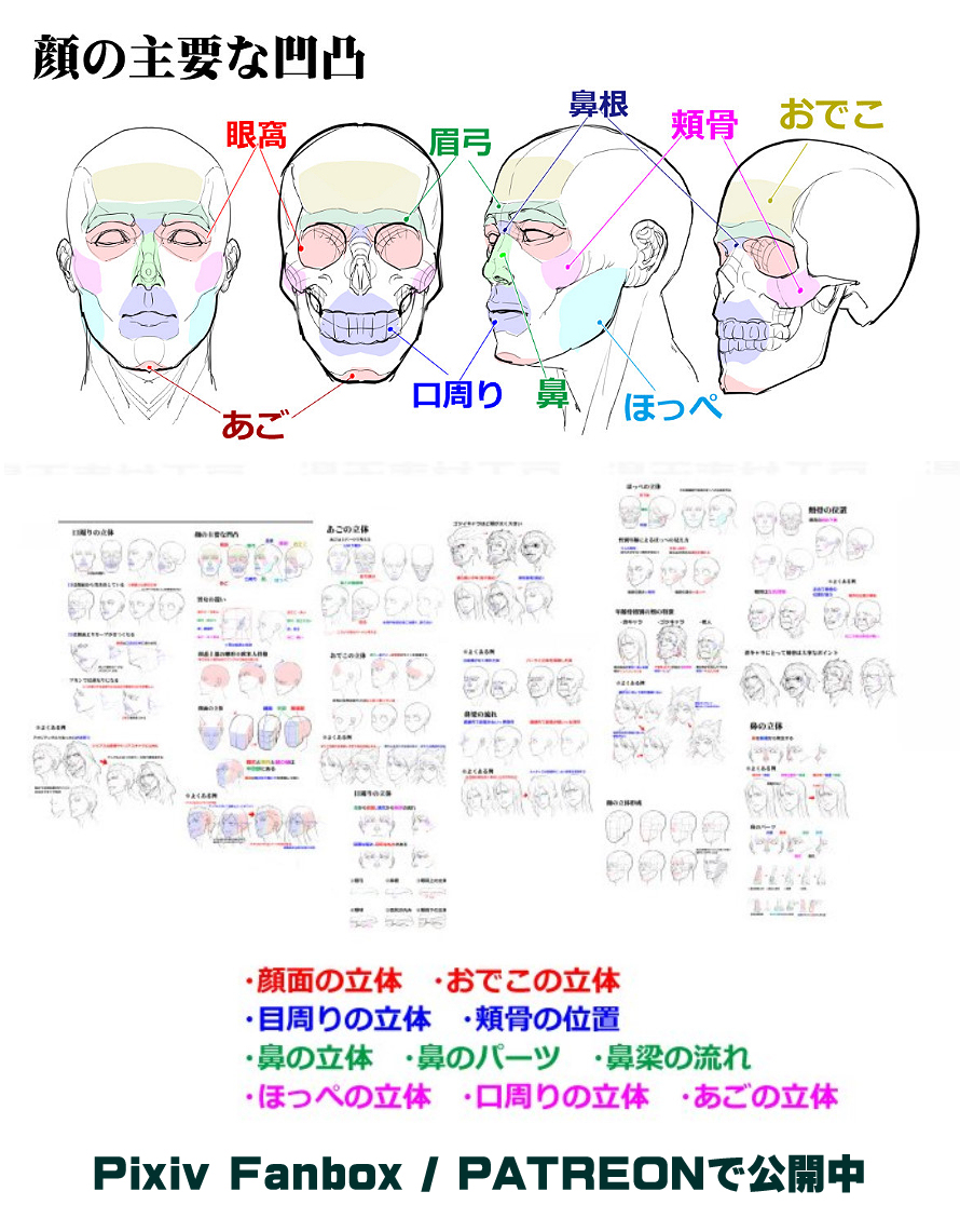 個人メモ：頭部の構造分析