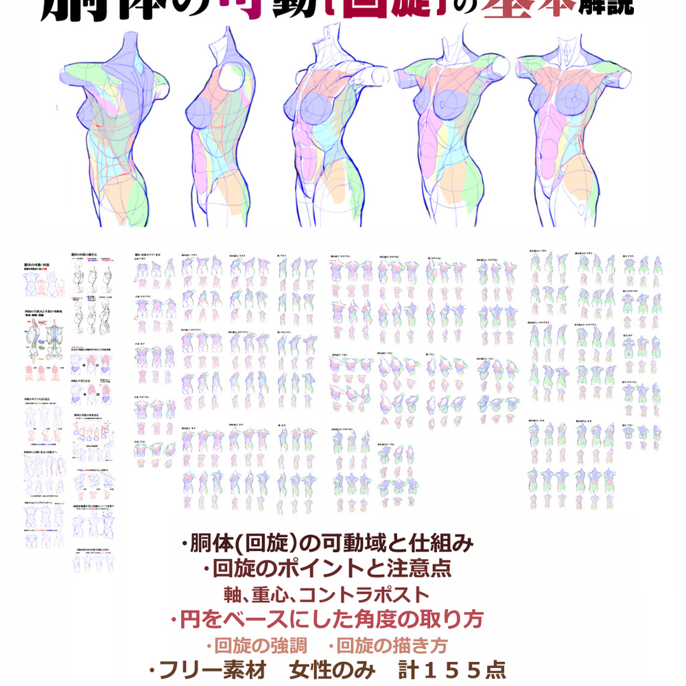 個人メモ：胴体(回旋)の可動域
