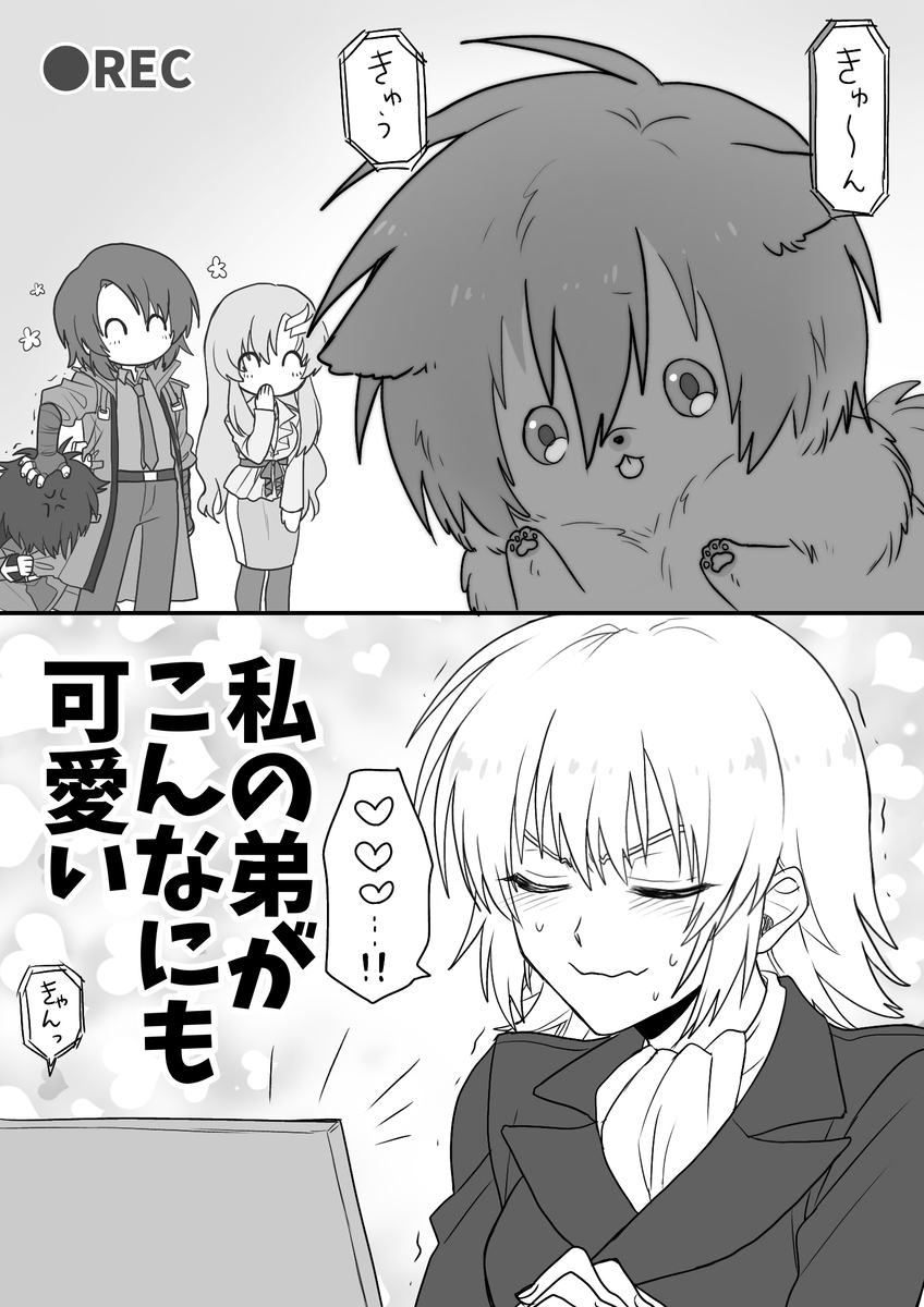 种子自由装