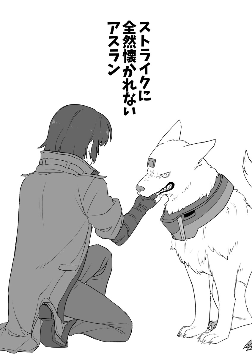 种子自由装