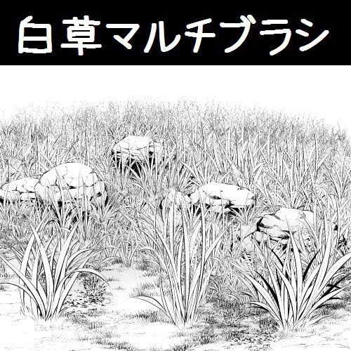白草多刷套装