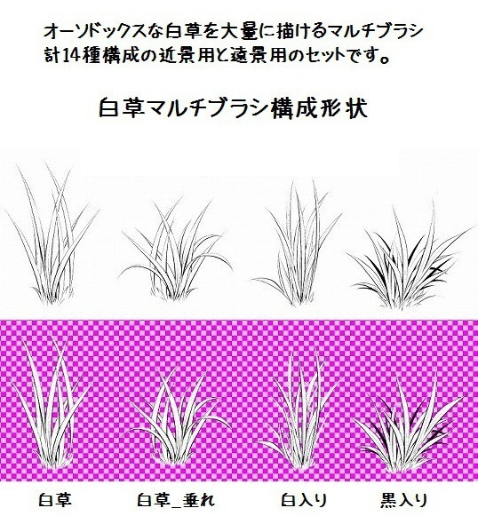 白草多刷套装