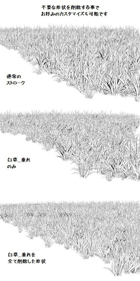 白草多刷套装