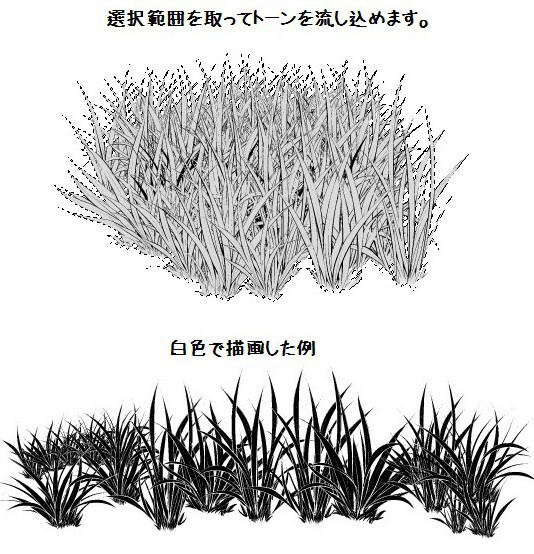 白草多刷套装