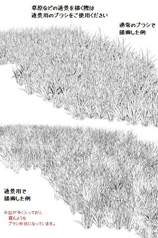 白草多刷套装