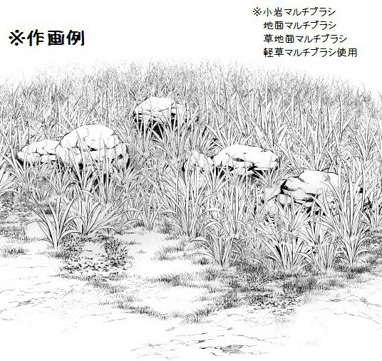 白草多刷套装