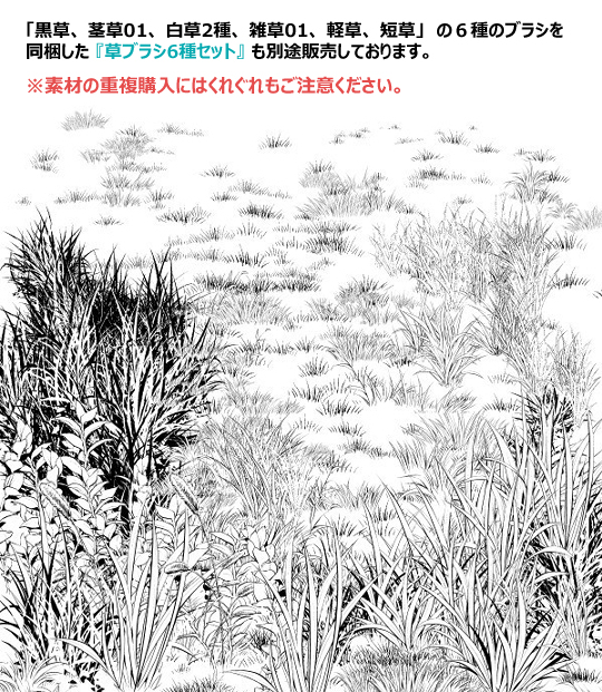 白草多刷套装