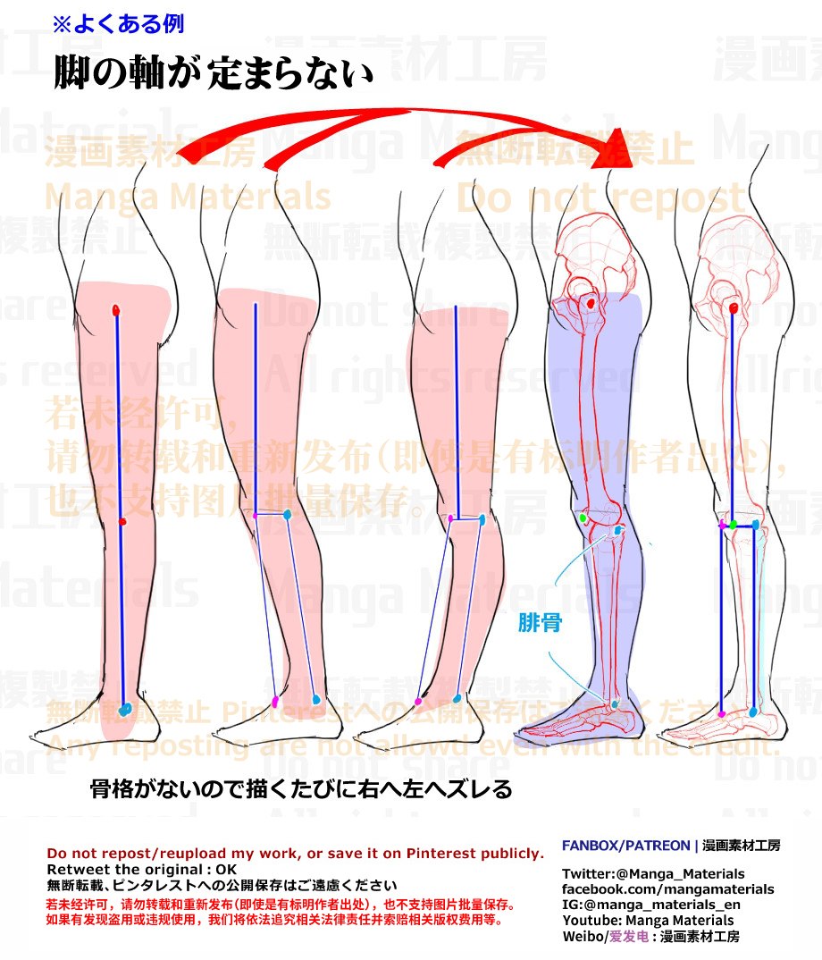 個人メモ：脚の骨格と軸