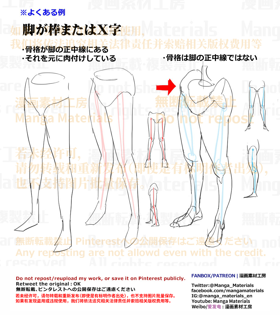 個人メモ：脚の骨格と軸