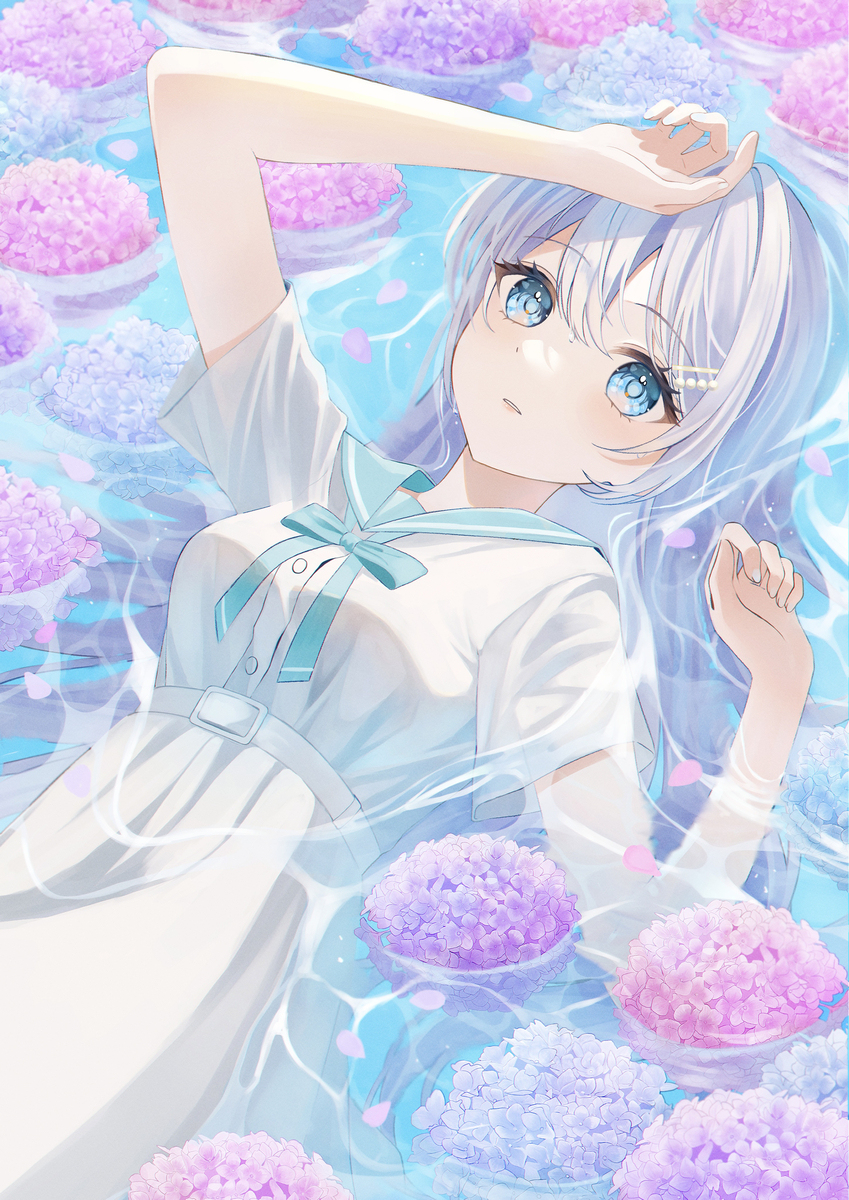 Hydrangea