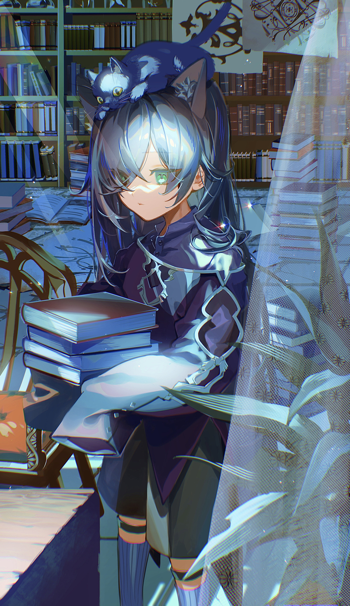 猫魔术师
